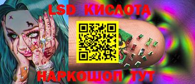 тгк Новозыбков