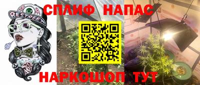 спиды Новодвинск