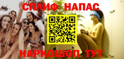 спиды Новодвинск
