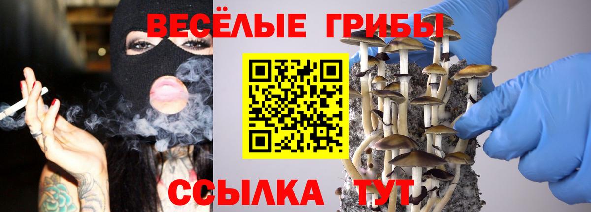 Псилоцибиновые грибы MAGIC MUSHROOMS  закладки  Заречный  Вход с VPN 